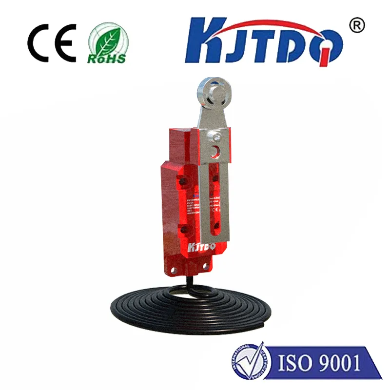 可调式防水行程开关|可调式防水行程开关型号-参数-尺寸图