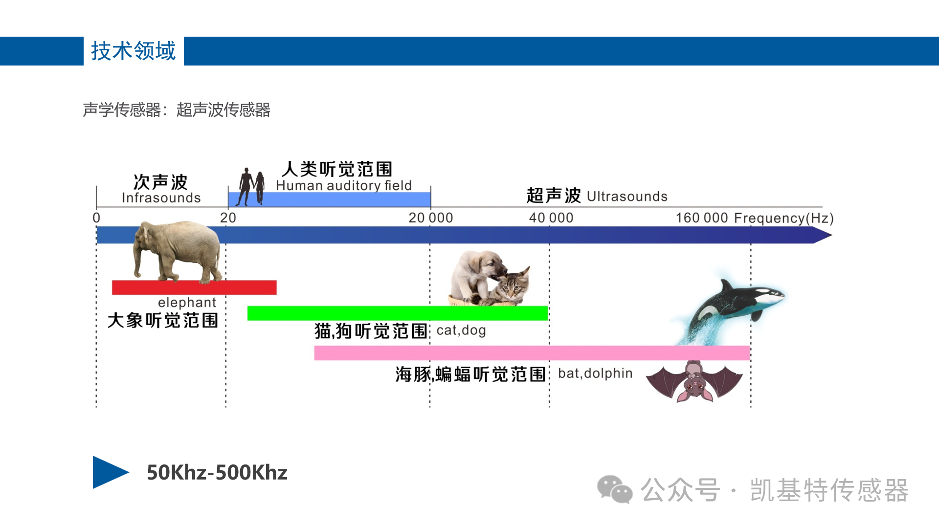 凯基特科普 | 超声波传感器的工作原理与应用