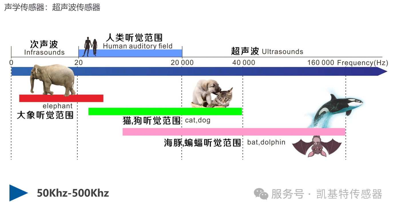 凱基特科普 | 超聲波傳感器的工作原理與應用